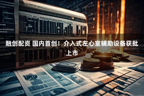 融创配资 国内首创！介入式左心室辅助设备获批上市