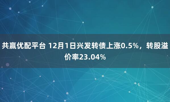 共赢优配平台 12月1日兴发转债上涨0.5%，转股溢价率23.04%